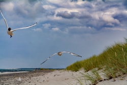 20160712Ostsee274_wb