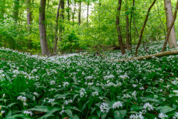 20180501Besuch_MoritzGrote_Springe_39wb