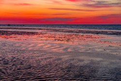 2019_07SunsetSchillig721_wb
