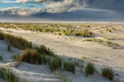 2020_10Juist104_wb