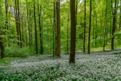 20210514Springe099_wb