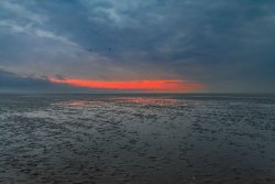 20210709Wattwanderung_Schillig129_wb