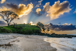 20230712Neuseeland0034_wb