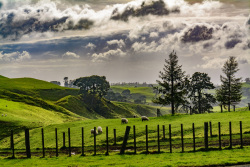 20230716Neuseeland0248_wb