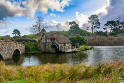 20230716Neuseeland0326_wb