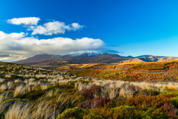 20230718Neuseeland0596_wb