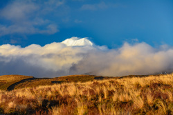 20230718Neuseeland0604_wb