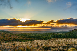 20230718Neuseeland0605-wb