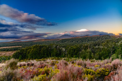 20230718Neuseeland0608_wb