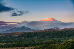 20230718Neuseeland0610_wb