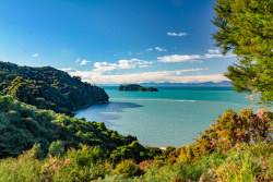 20230721Neuseeland0792_wb