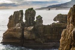 20230724Neuseeland1047_wb