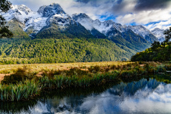 20230727Neuseeland1378_wb