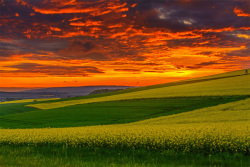 20240503Springe01_wb