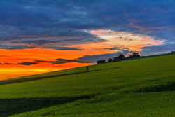 20240503Springe29_wb