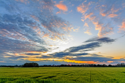 20240518Wendland113_wb