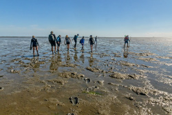 20240629Wattwanderung_Baltrum022_wb