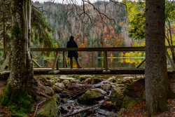 20241017Schwarzwald226_wb