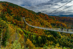 20241018Schwarzwald288_wb