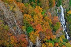 20241018Schwarzwald299_wb