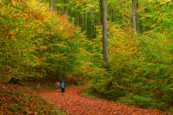 20241027Deister03_wb