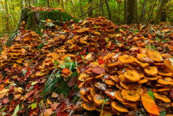 20241027Deister07_wb