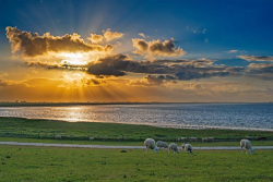 20250523Dangast106_wb