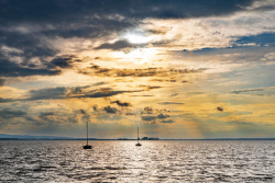 20250729SteinhuderMeer108_wb