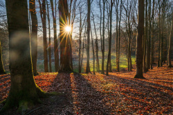 20251226Weihnachten_Doetlingen51_wb