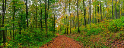 Land_022_2024_10_Springe_Deister1_wbsg12019