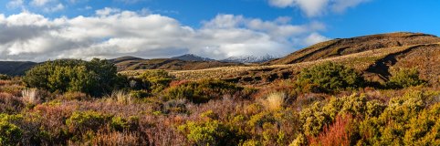 Land_052_2023_07Neuseeland_MountRuapehu_wb32049