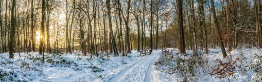 Land_063_2026_01BarnefuehrerHolz_3_wbsg37059