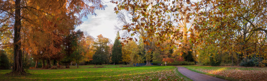 Land_068_2025_11_Pano_Oldenburg_Schlosspark_wb