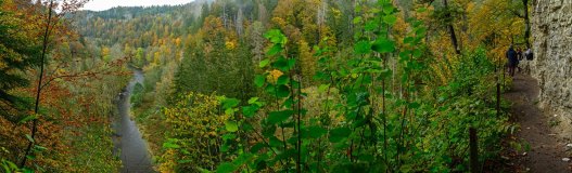 Land_072_2024_10Schwarzwald_Wutachschlucht2_wb43068