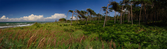 Land_076_2016_WeststrandDarss2_web073
