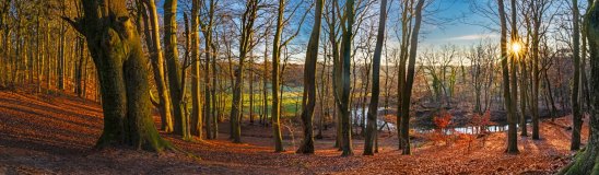 Land_080_2025_12_Pano_Doetlingen_7_wb48077