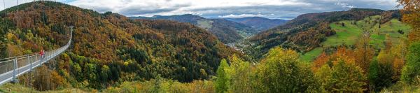 Land_133_2024_10Schwarzwald_Todtnau5_wb82136