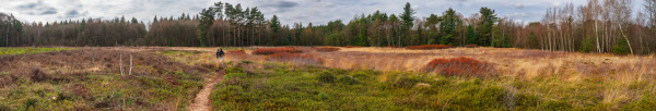 Land_159_2026_4_Panorama_ThuelsFelderSperre_2_wb