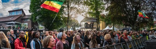 Stage_13_059_2025_ReggaeJam_1wb36055