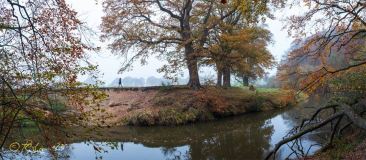 002_Pano_BarnefuehrerHolz_1_2026