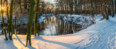 009_Panor_BarnefuehrerHolz_2