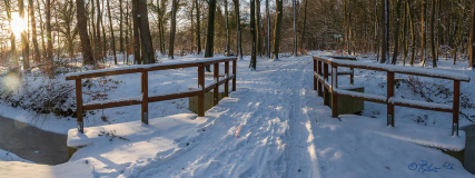 030_2026_01BarnefuehrerHolz_7_wbsg18027