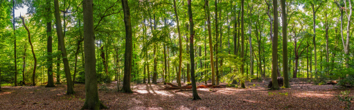 064_2025_09BarnefuehrerHolz_2_wb38060