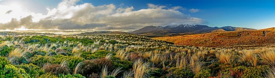 087_2023_07Neuseeland_MountRuapehu_wb53085