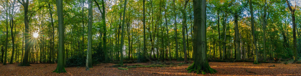 113_2024_10BarnefuehrerHolz3_wb67111