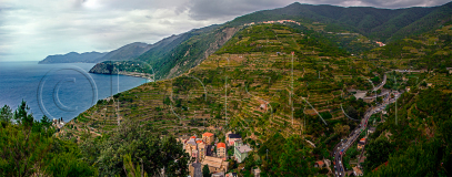 Weinberge bei Manerola, Chinque Terre, Italien 2016