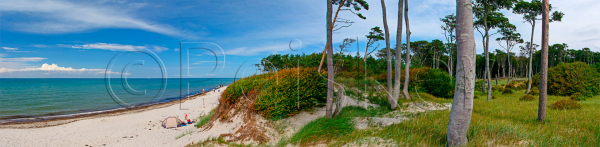 Darss Weststrand, Ostsee, August 2016