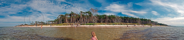 Panorama Darss Weststrand
